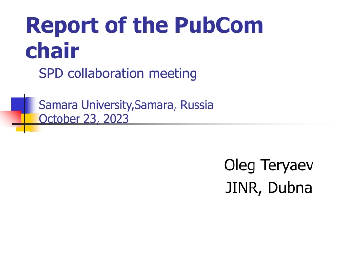 end el cone report of the pubcom chair