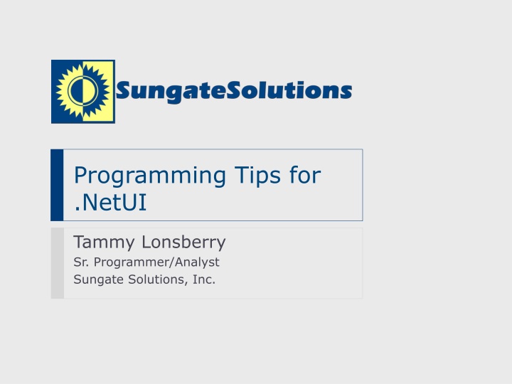 programming tips for netui