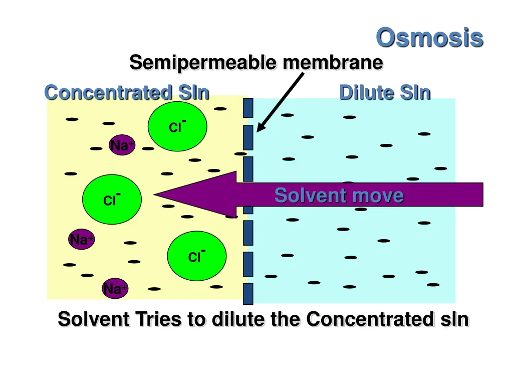 osmosis 1