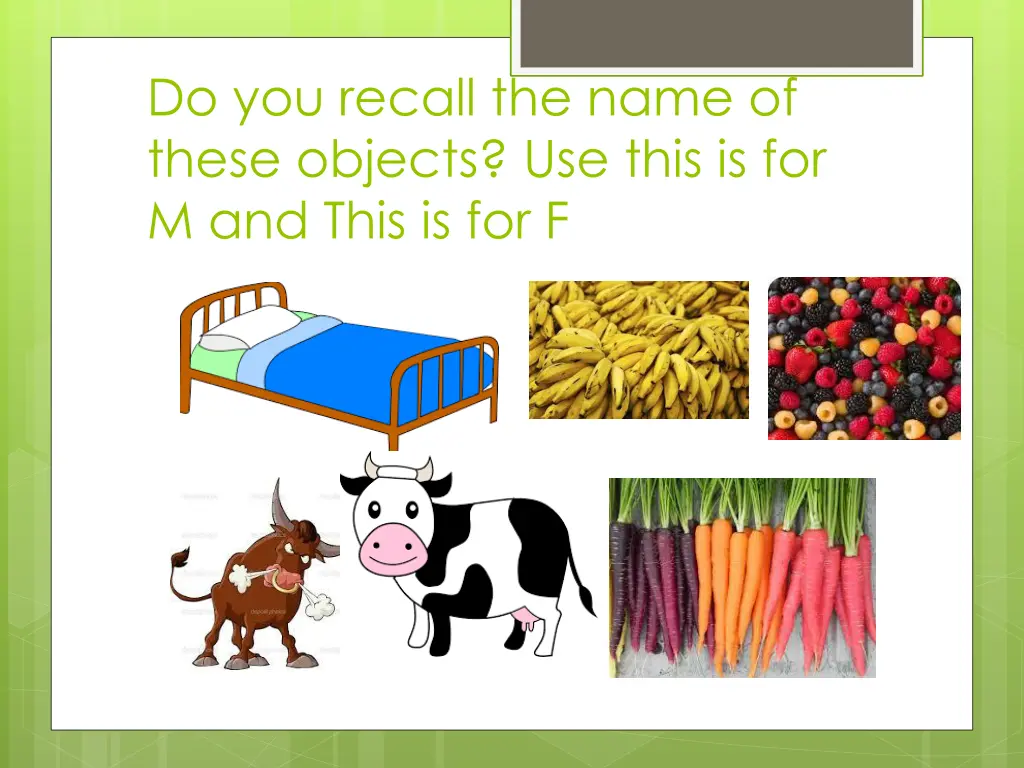 do you recall the name of these objects use this