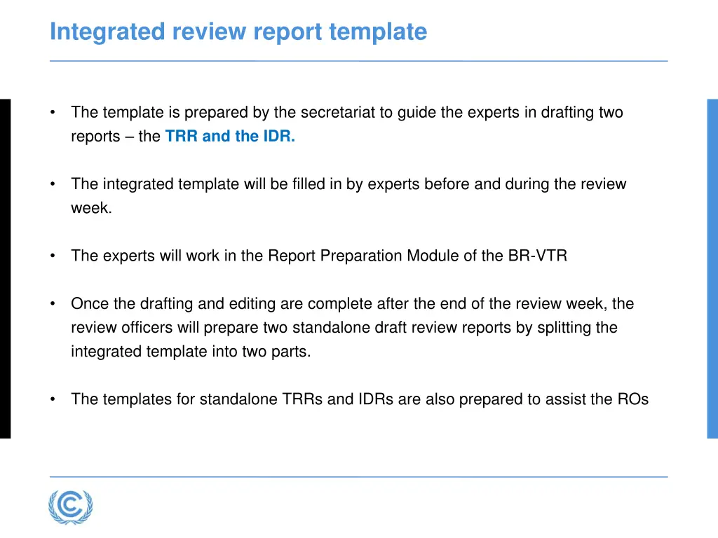 integrated review report template