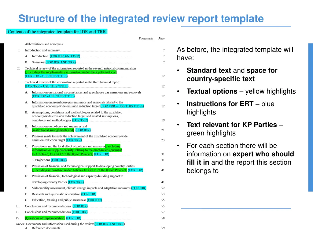 structure of the integrated review report template