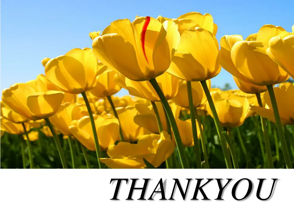 thankyou