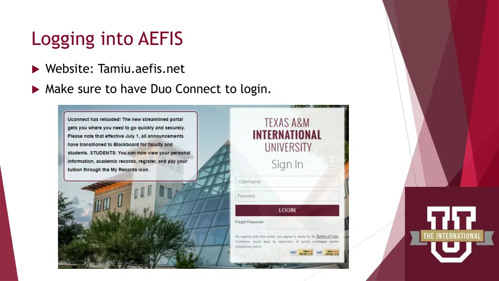 logging into aefis