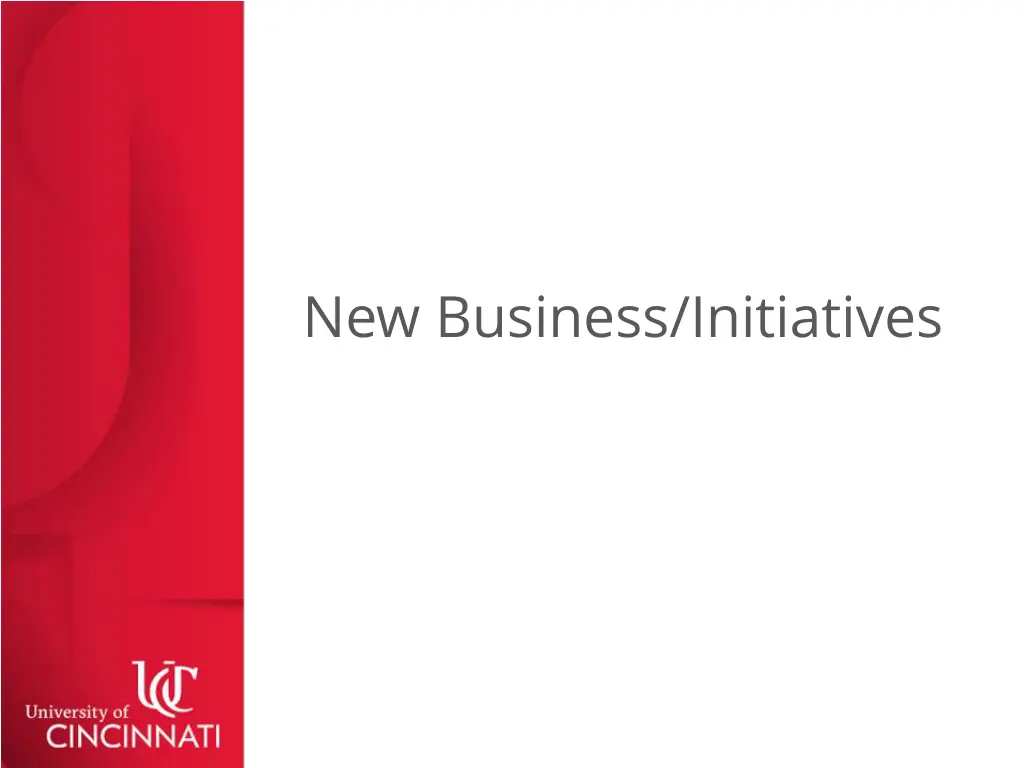 new business initiatives