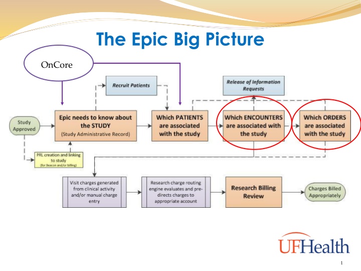 the epic big picture