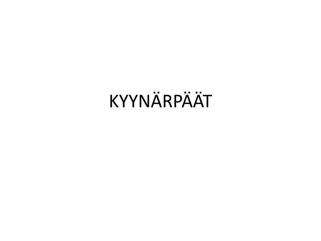 kyyn rp t