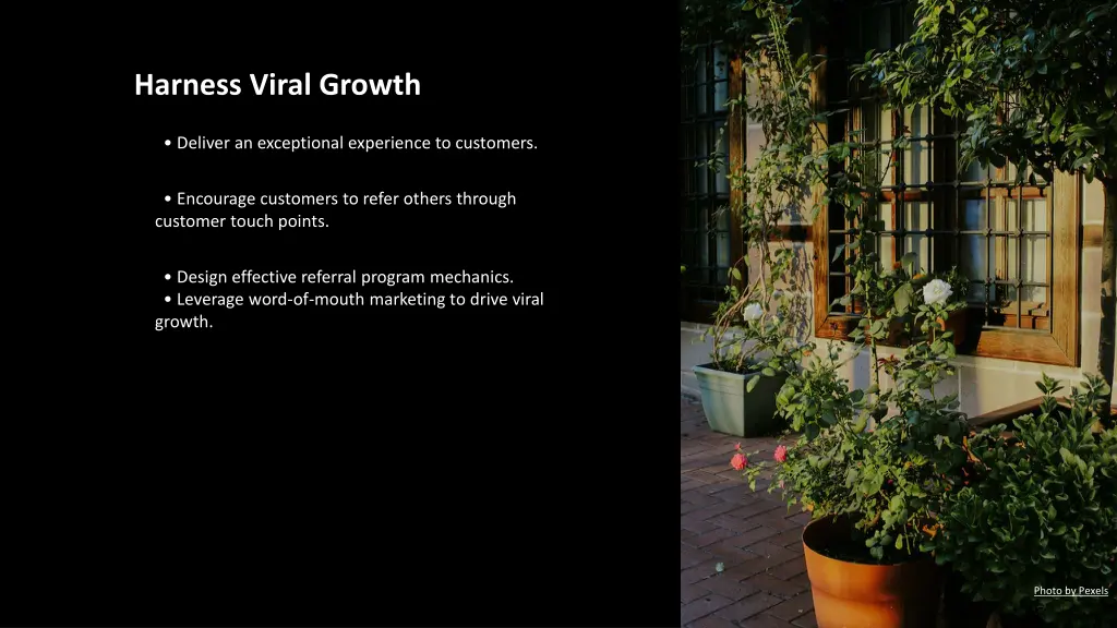 harness viral growth