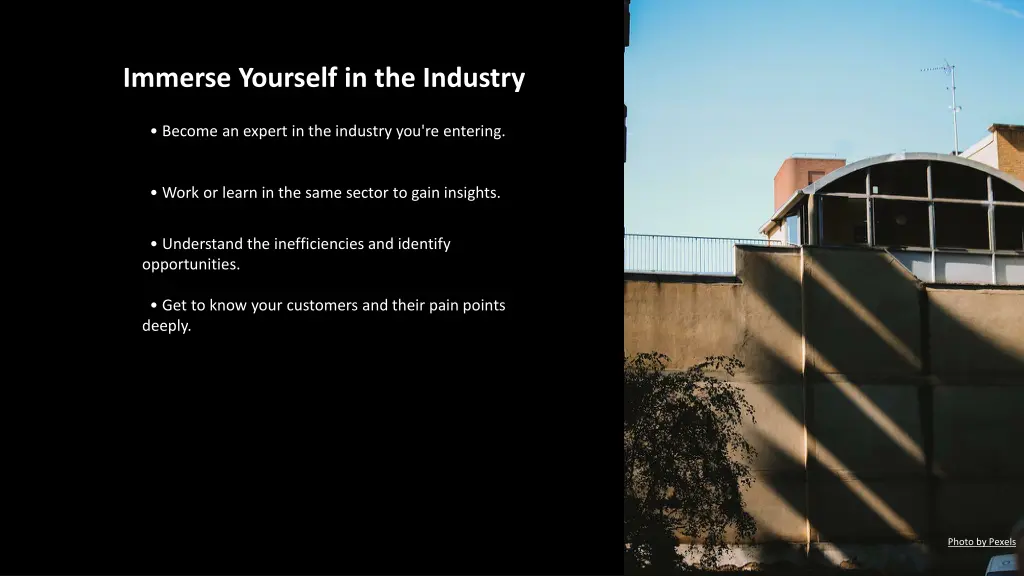 immerse yourself in the industry