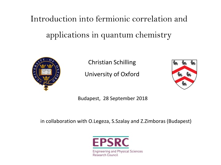 introduction into fermionic correlation and