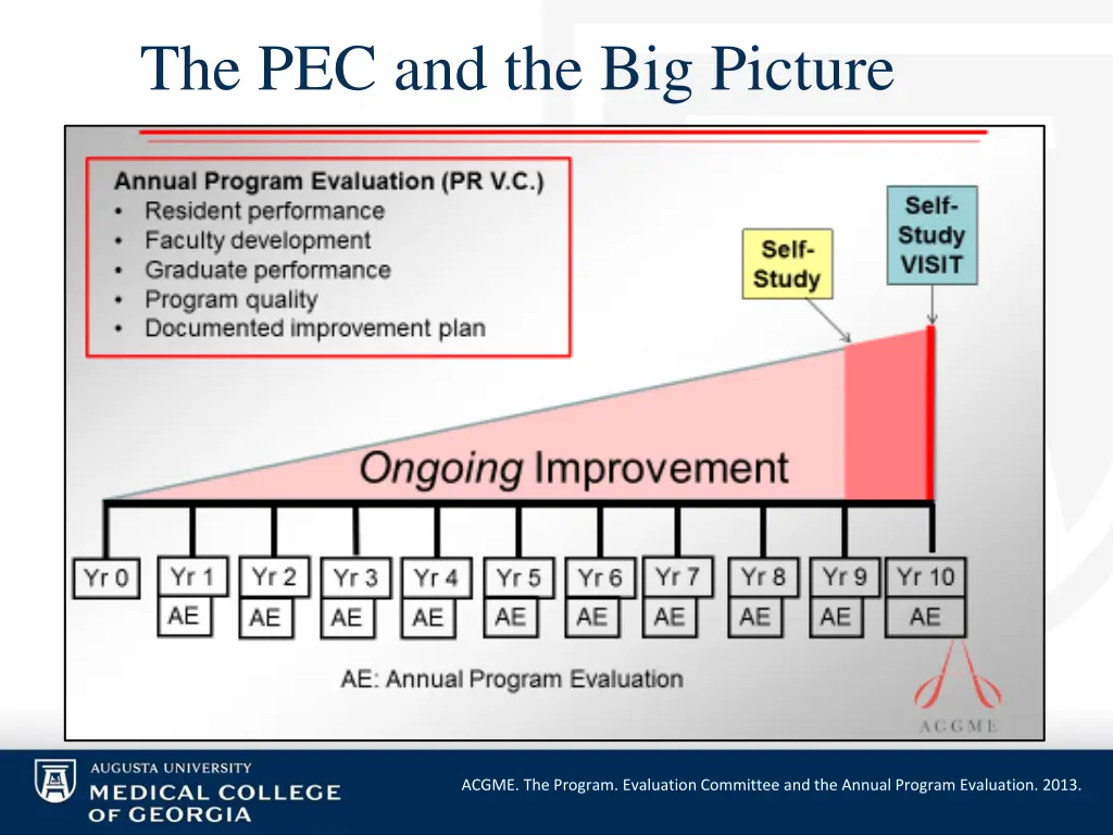the pec and the big picture