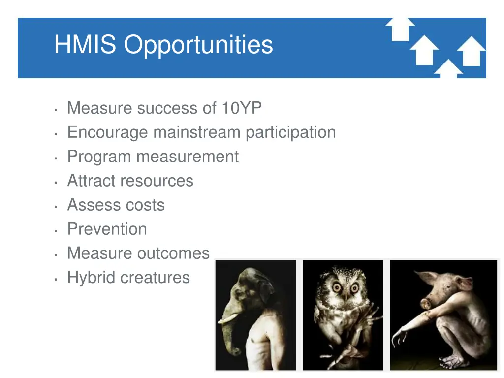 hmis opportunities