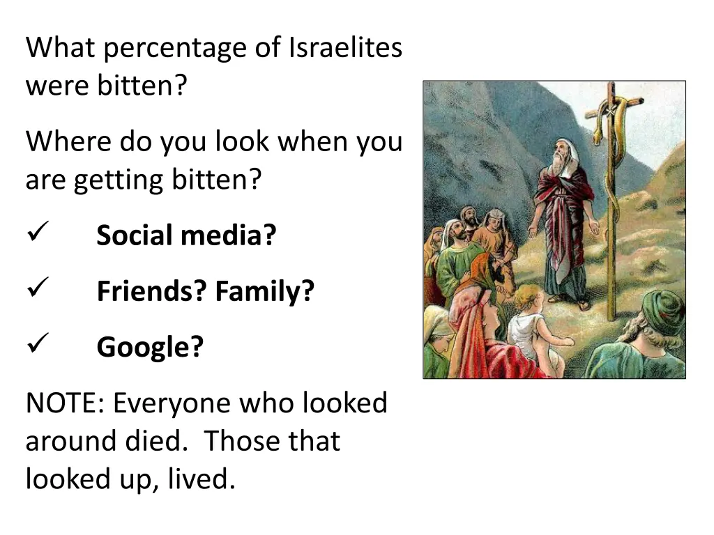 what percentage of israelites were bitten