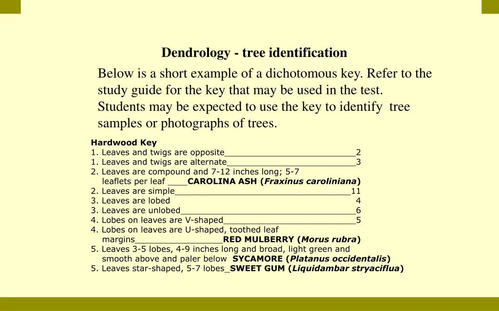 dendrology tree identification below is a short