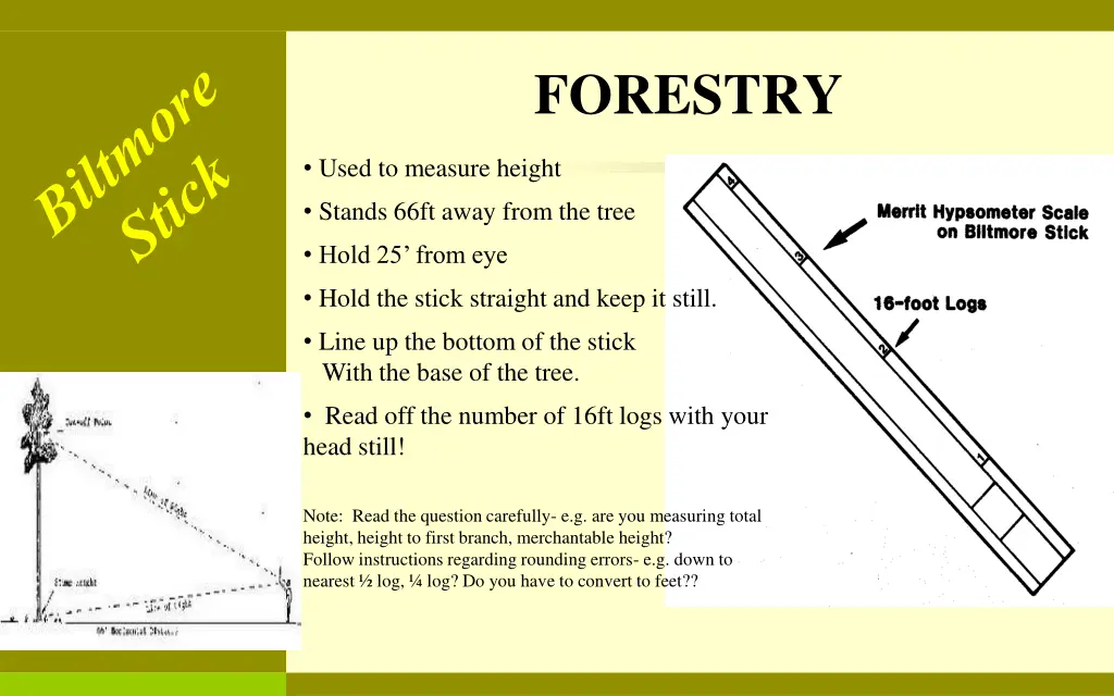 forestry 1