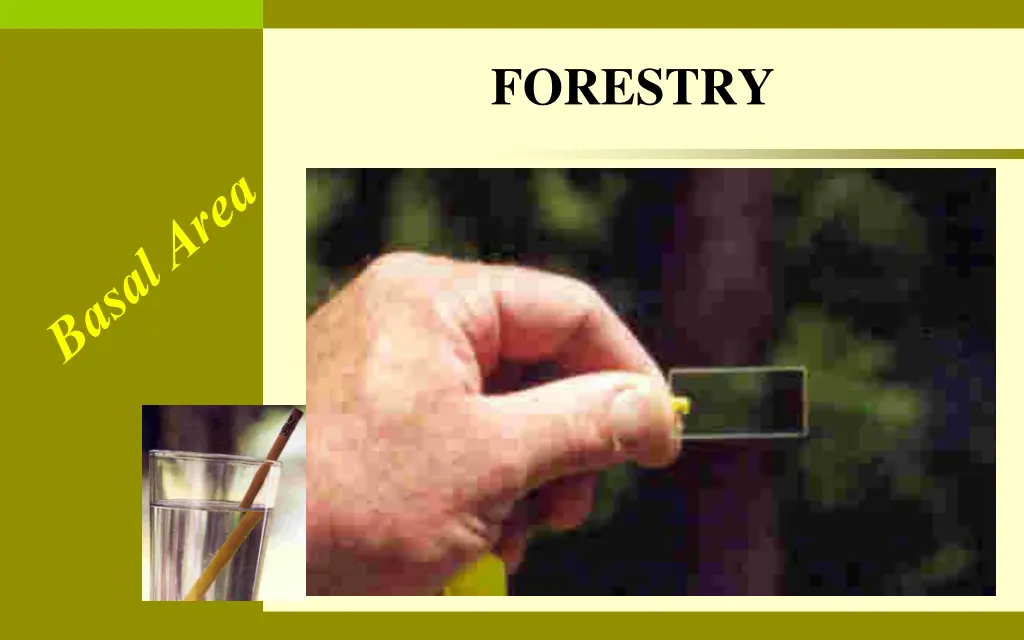 forestry 3