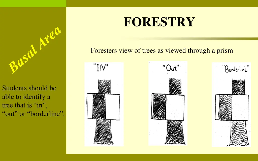 forestry 4