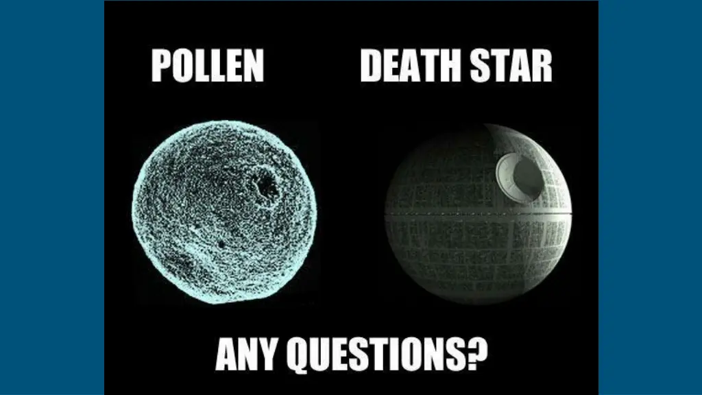 questions