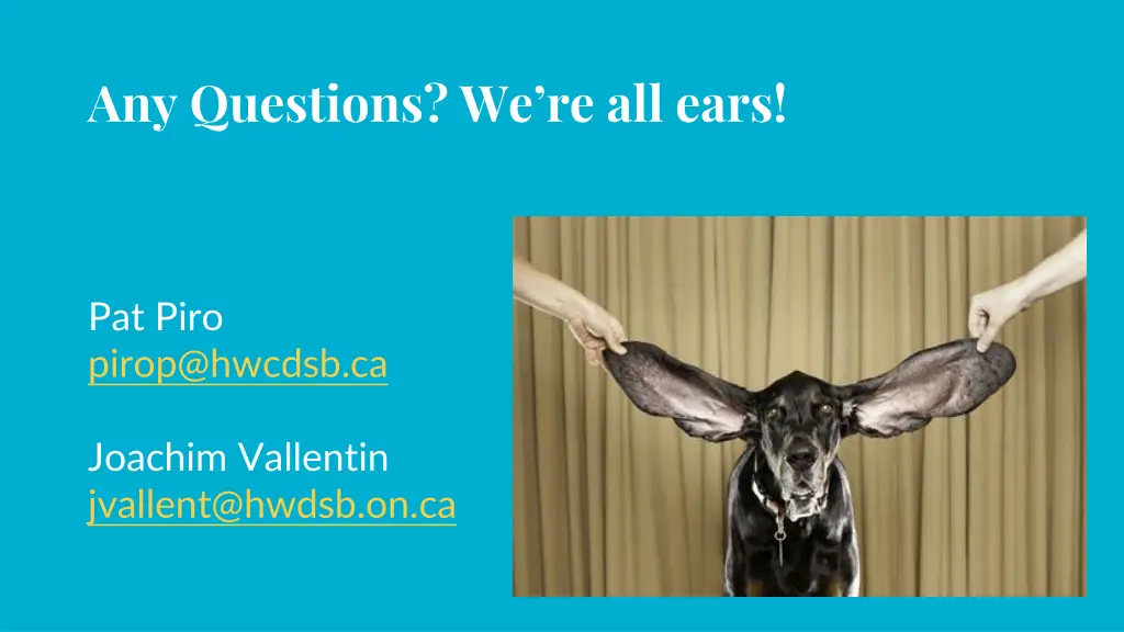 any questions we re all ears