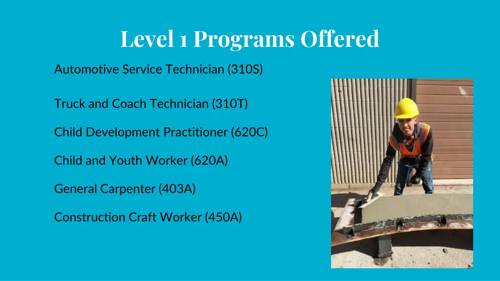 level 1 programs offered