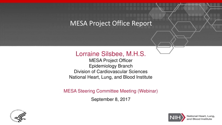 mesa project office report