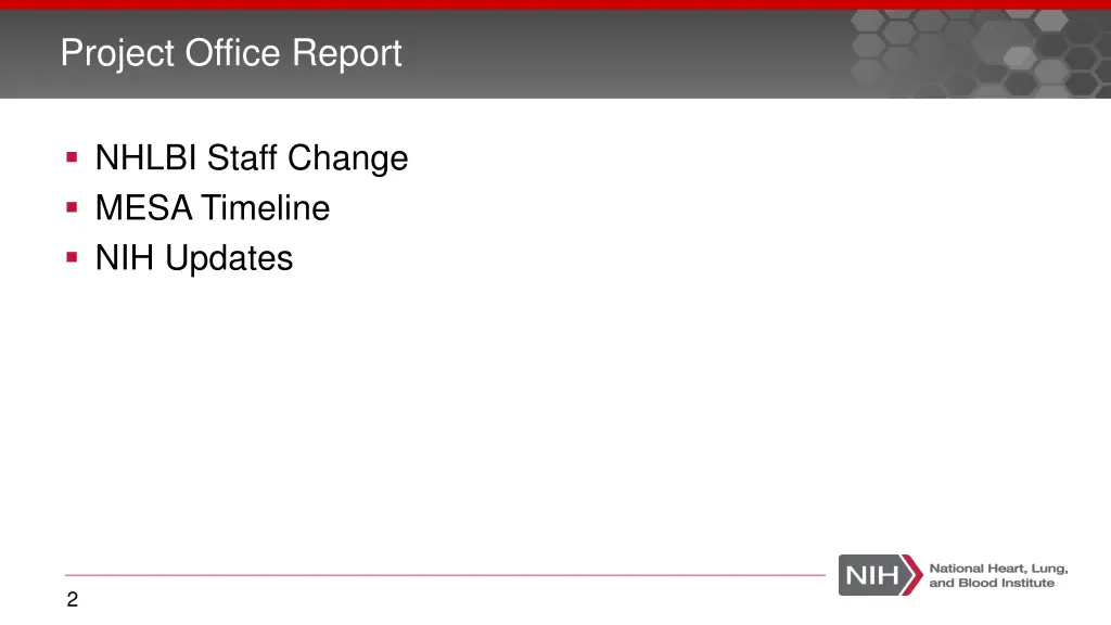 project office report