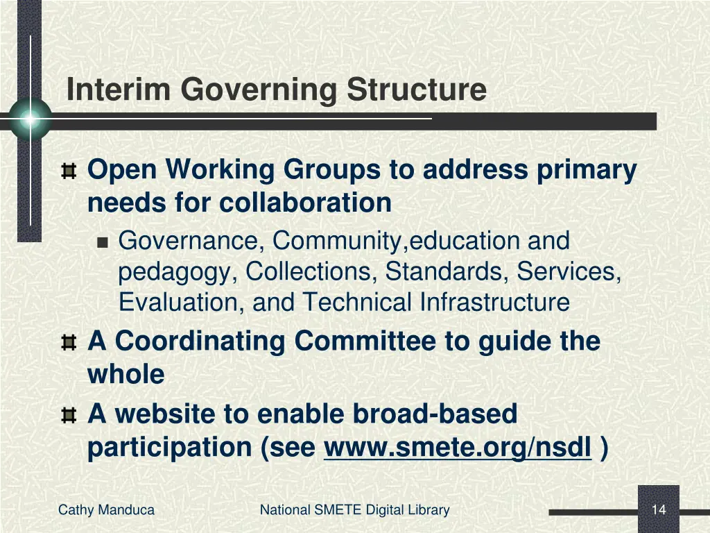 interim governing structure