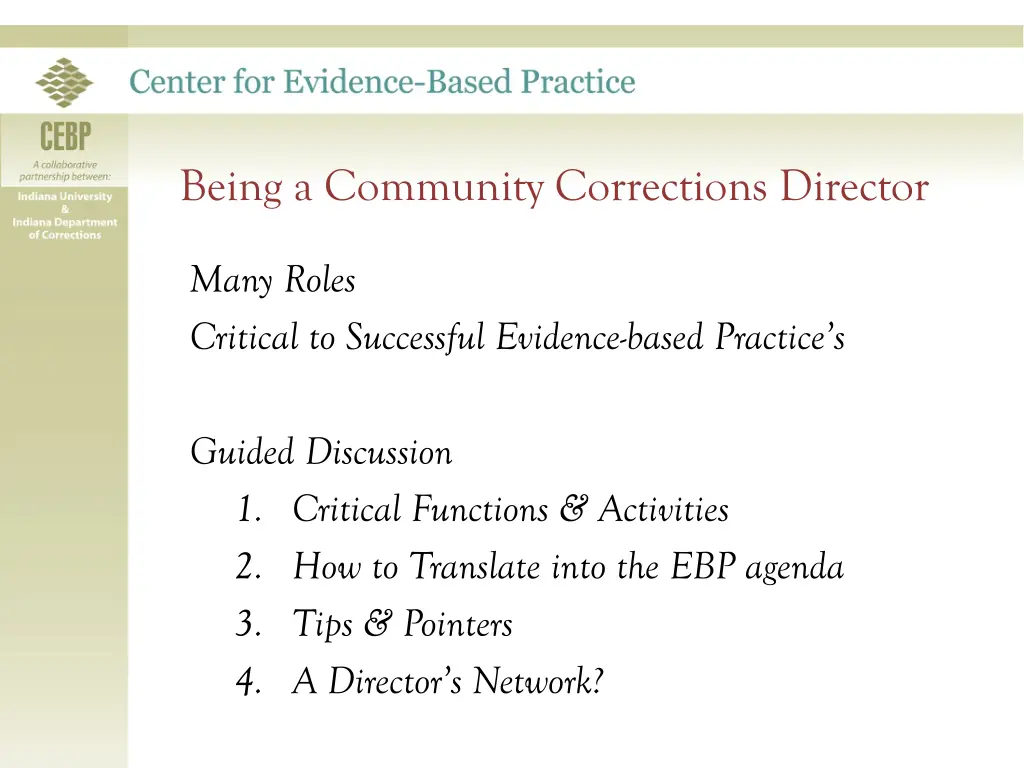 being a community corrections director 1