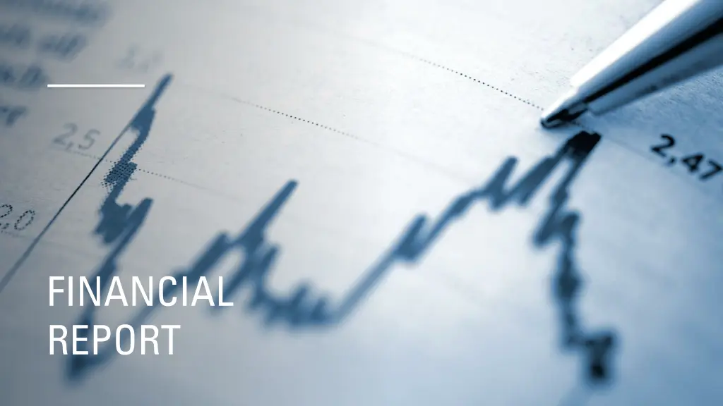financial report