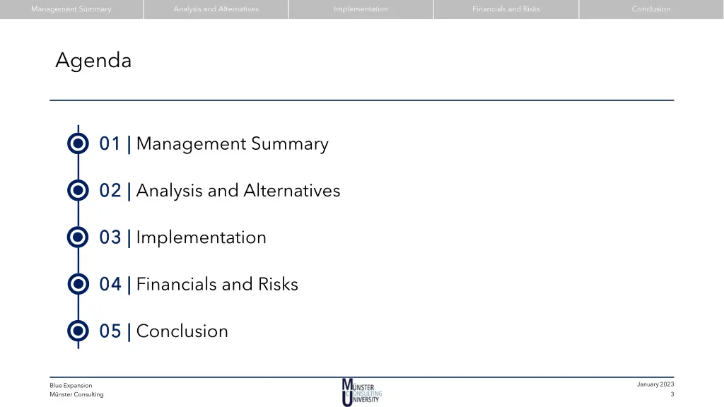 management summary