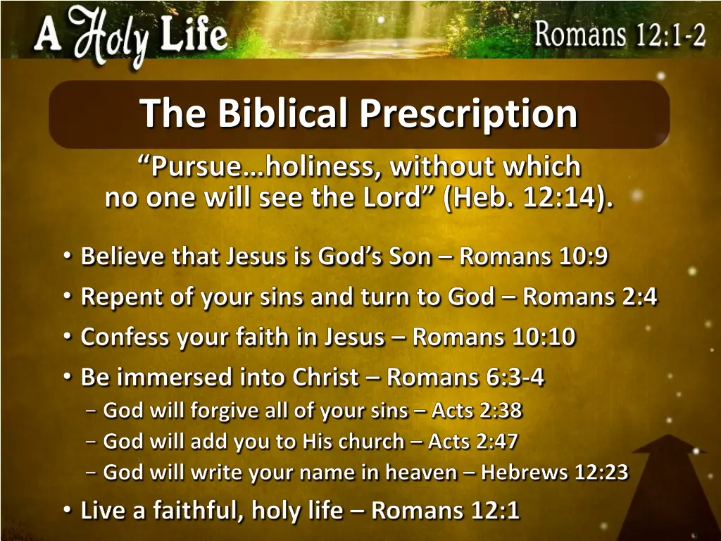 the biblical prescription pursue holiness without