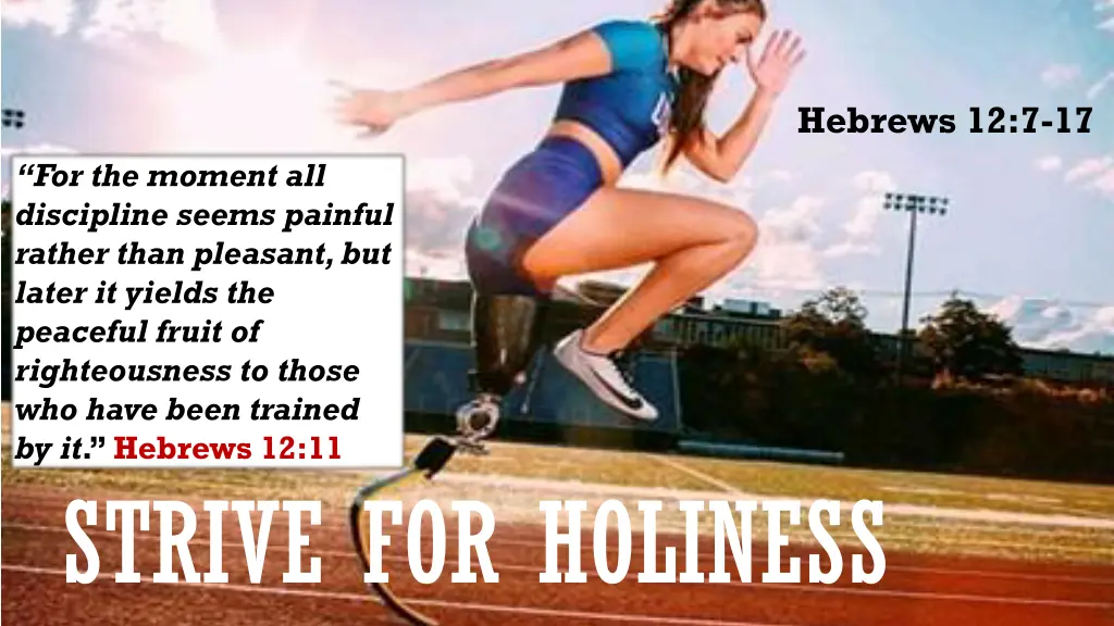 hebrews 12 7 17