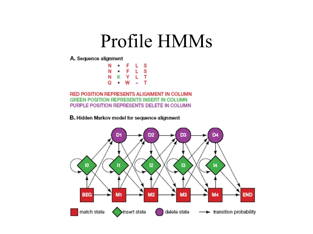 profile hmms 1