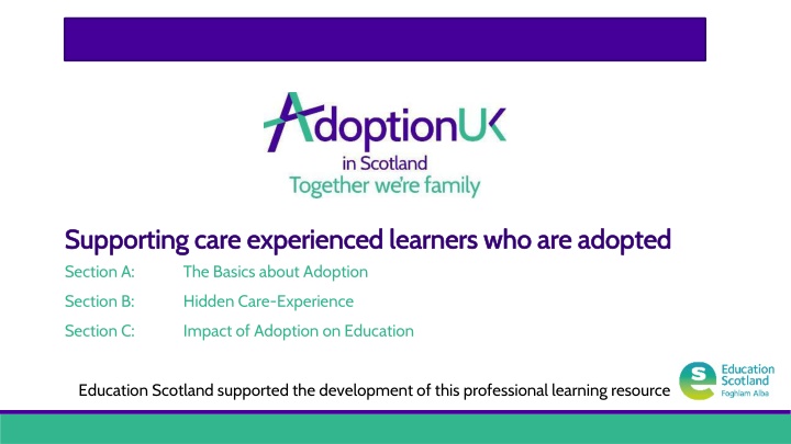 supporting care experienced learners