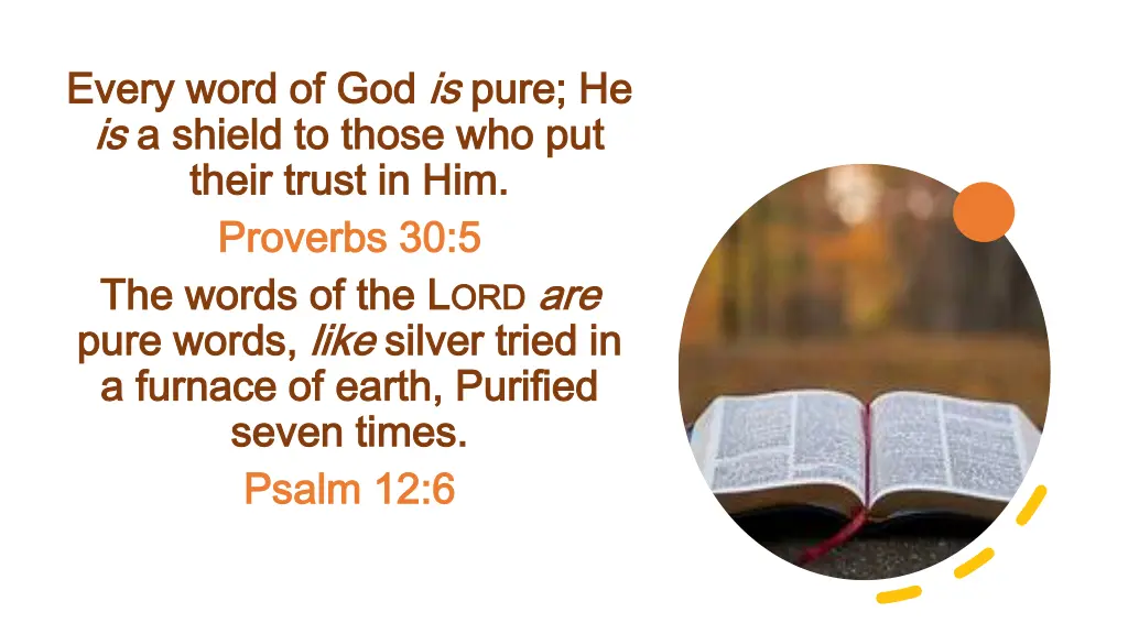 every word of god every word of god is is pure