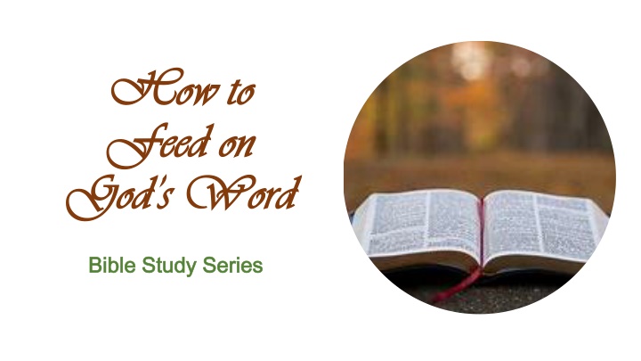 how to how to feed on feed on god s word