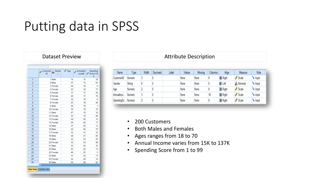 putting data in spss