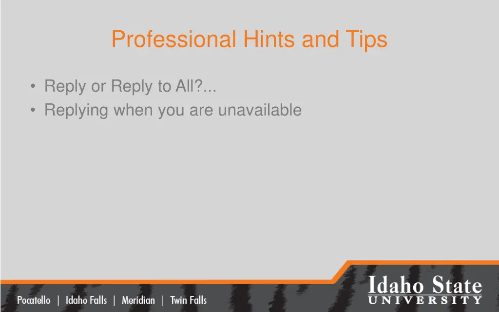 professional hints and tips 2
