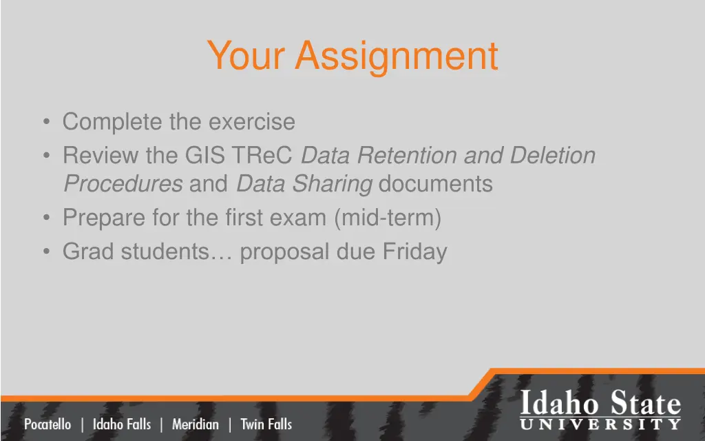 your assignment