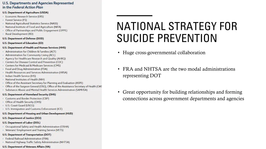 national strategy for suicide prevention 1