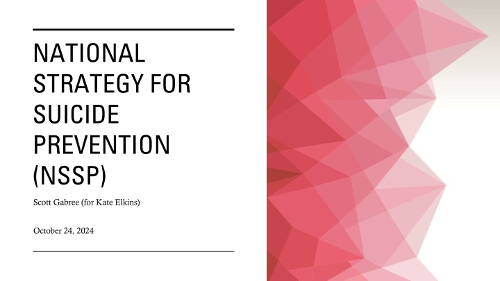 national strategy for suicide prevention nssp