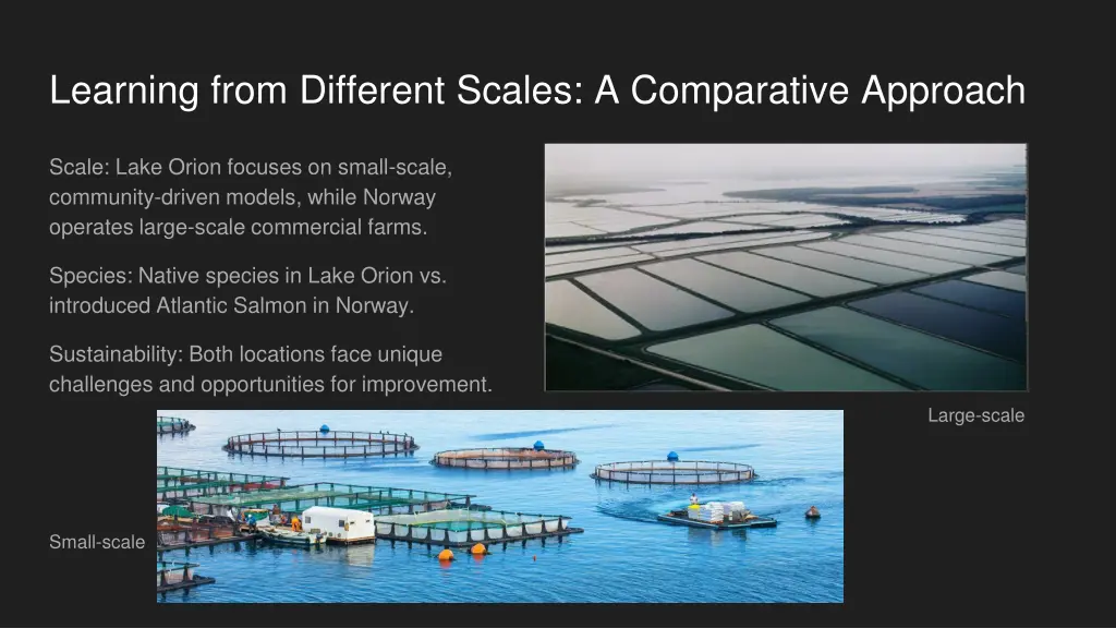 learning from different scales a comparative