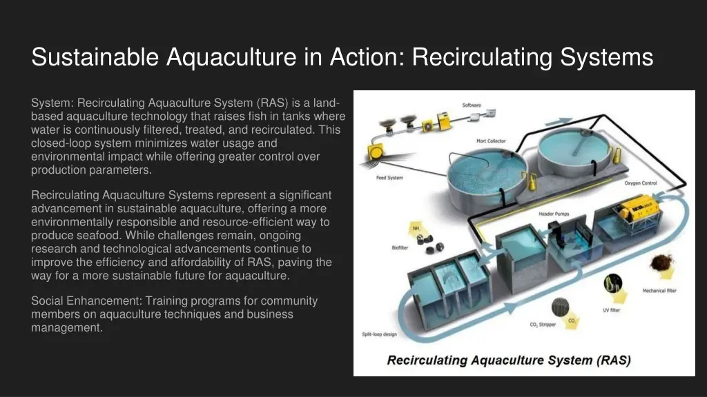sustainable aquaculture in action recirculating