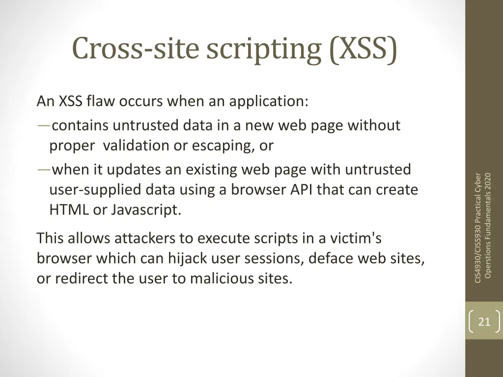 cross site scripting xss
