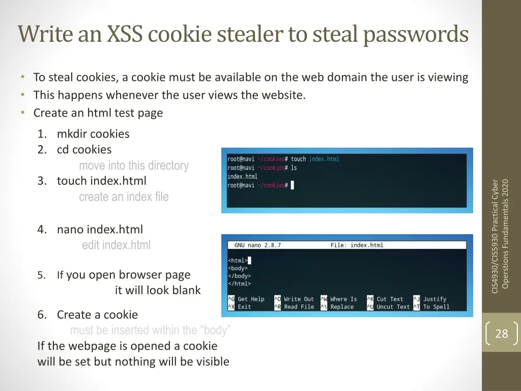 write an xss cookie stealer to steal passwords
