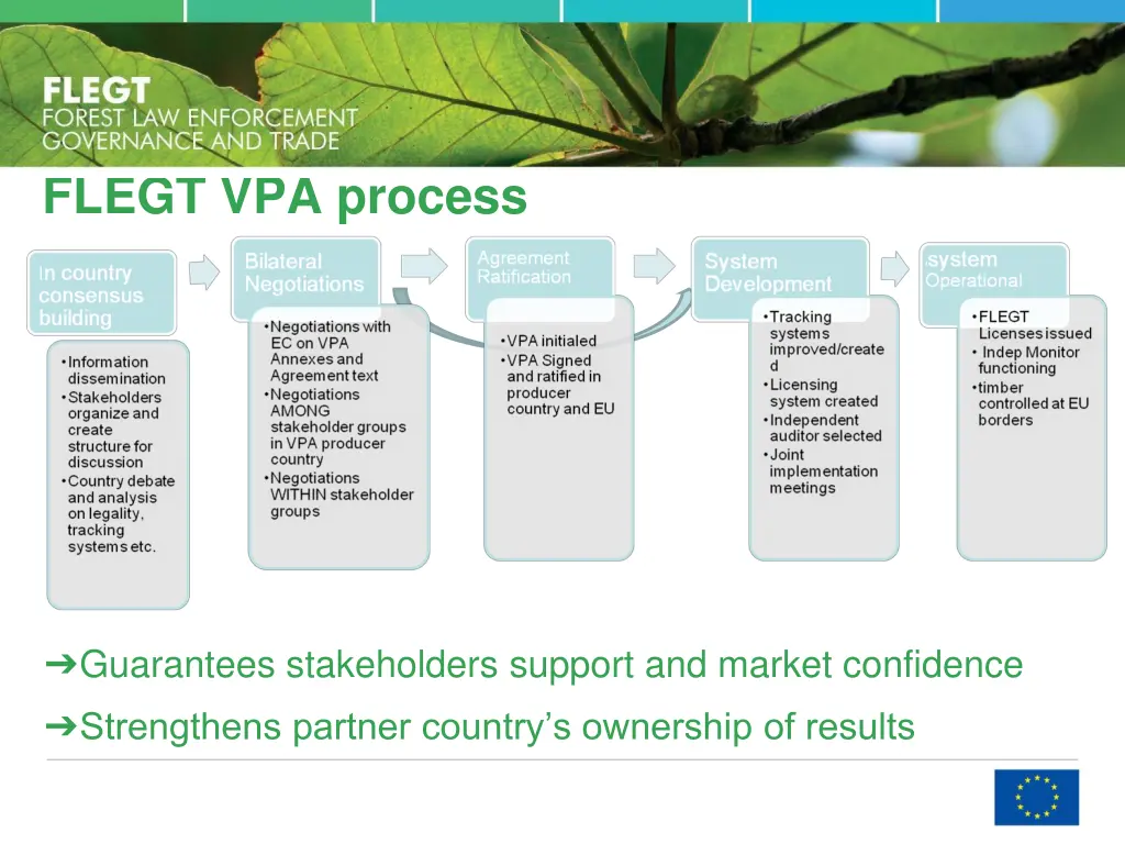 flegt vpa process