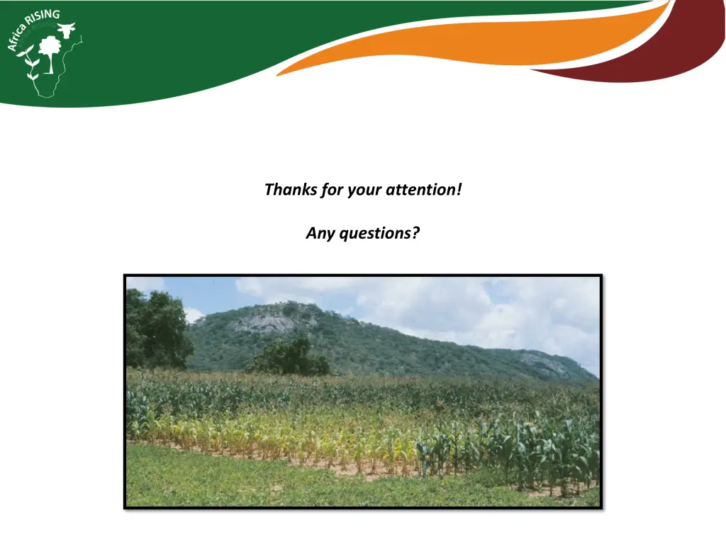 thanks for your attention