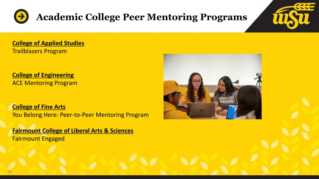 academic college peer mentoring programs