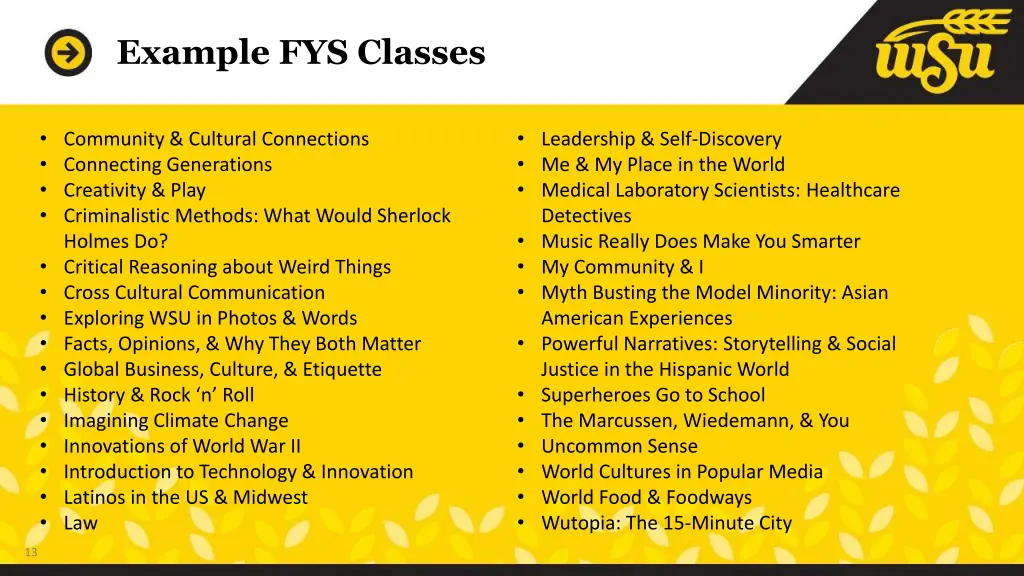 example fys classes