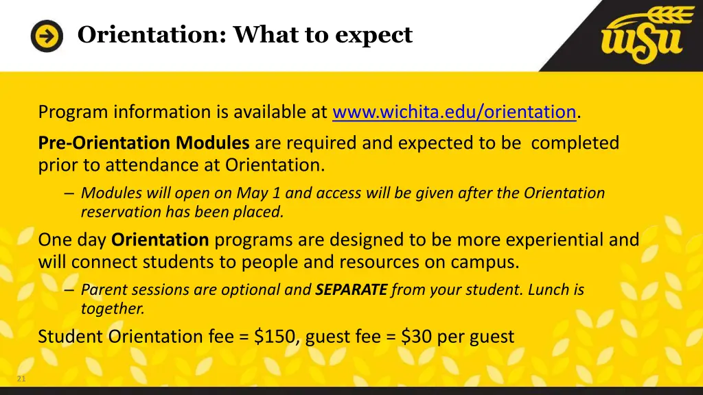 orientation what to expect